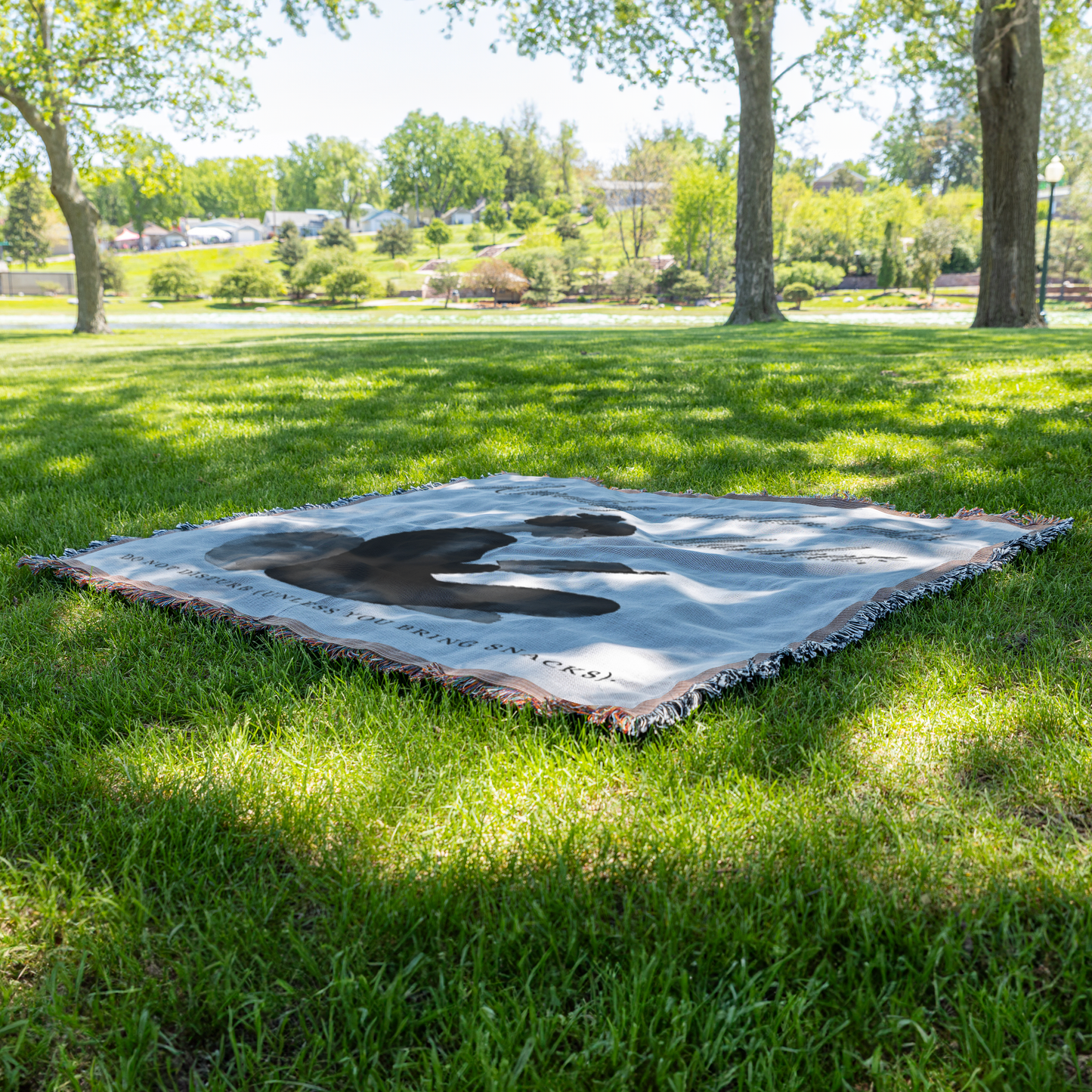 Do_Not_Disturb_Reading_-_Woven_Blanket_Grass_V_Mockup.png